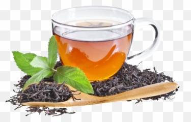Green Tea Png Transparent Images Free - Cup Emoji