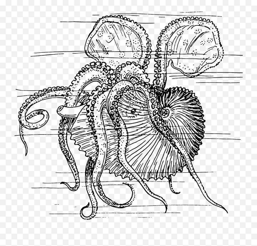 Mollusc Sea Animal Kraken Octopus Sea - Kraken Dyr Emoji,Turkey Leg Emoji