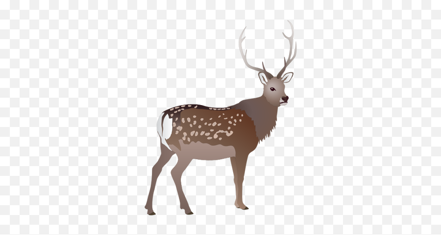 28 Dear Clipart Sika Deer Free Clip Art Stock Illustrations - Sitka Deer Drawing Emoji,Deer Emoji