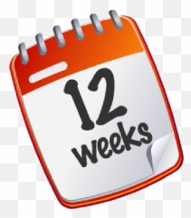 Week by week pregnancy - MadeForMums Emoji