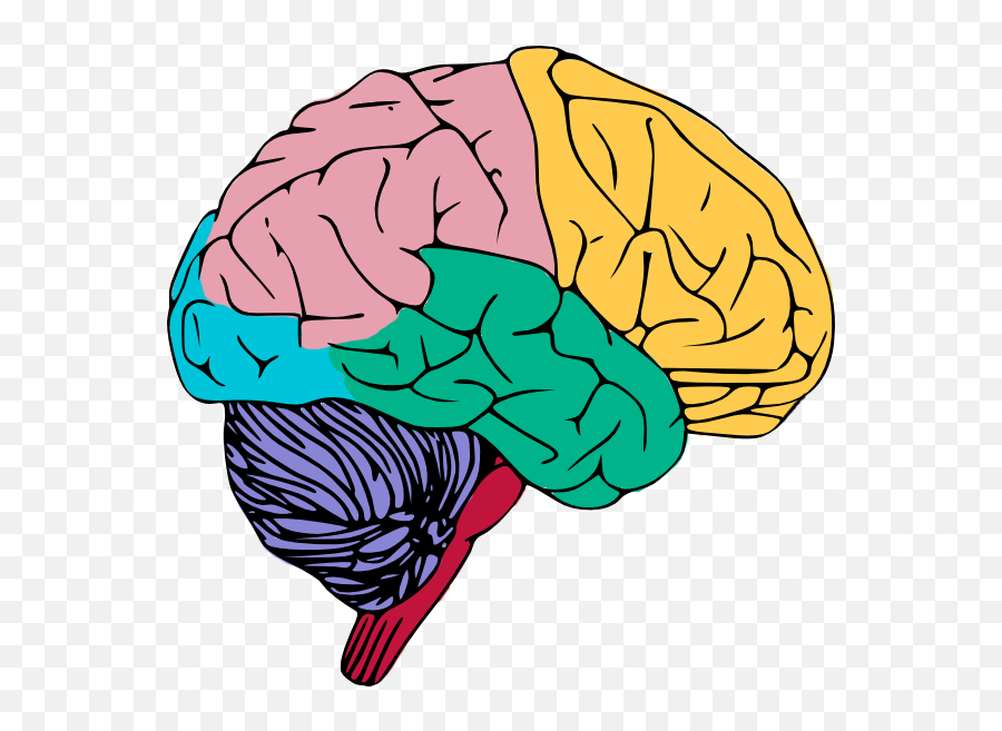 Brain Free To Use Clip Art - Does The Brain Work Emoji,Emoji Brain
