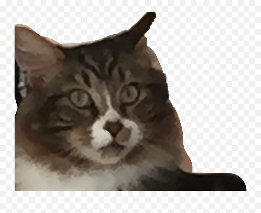 My Cat Who Conveniently Can Make Great - Domestic Cat Emoji,How To Make A Cat Emoji