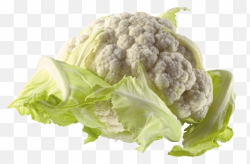 Png Image Icon Favicon - Flower Cabbage Png Emoji,Cauliflower Emoji