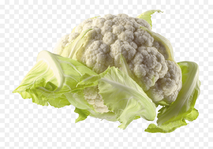 Png Image Icon Favicon - Flower Cabbage Png Emoji,Cauliflower Emoji