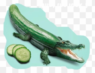 Crocodile Freetoedit - Art Emoji