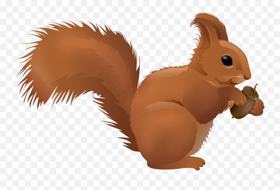 Squirrel Clipart Transparent Background - Cartoon Squirrel Transparent Background Emoji,Chipmunk Emoji