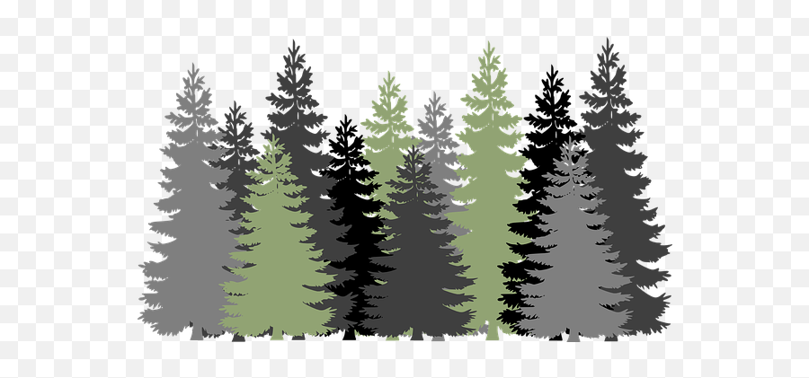 2000 Free Gray U0026 Background Illustrations - Pixabay Transparent Pine Trees Silhouette Emoji,Evergreen Tree Emoji