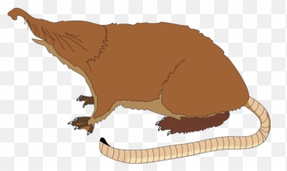 Ant Eater Png Svg Clip Art For Web - Pyrenean Desman Emoji,Groundhog Emoji