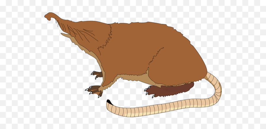 Ant Eater Png Svg Clip Art For Web - Pyrenean Desman Emoji,Groundhog Emoji