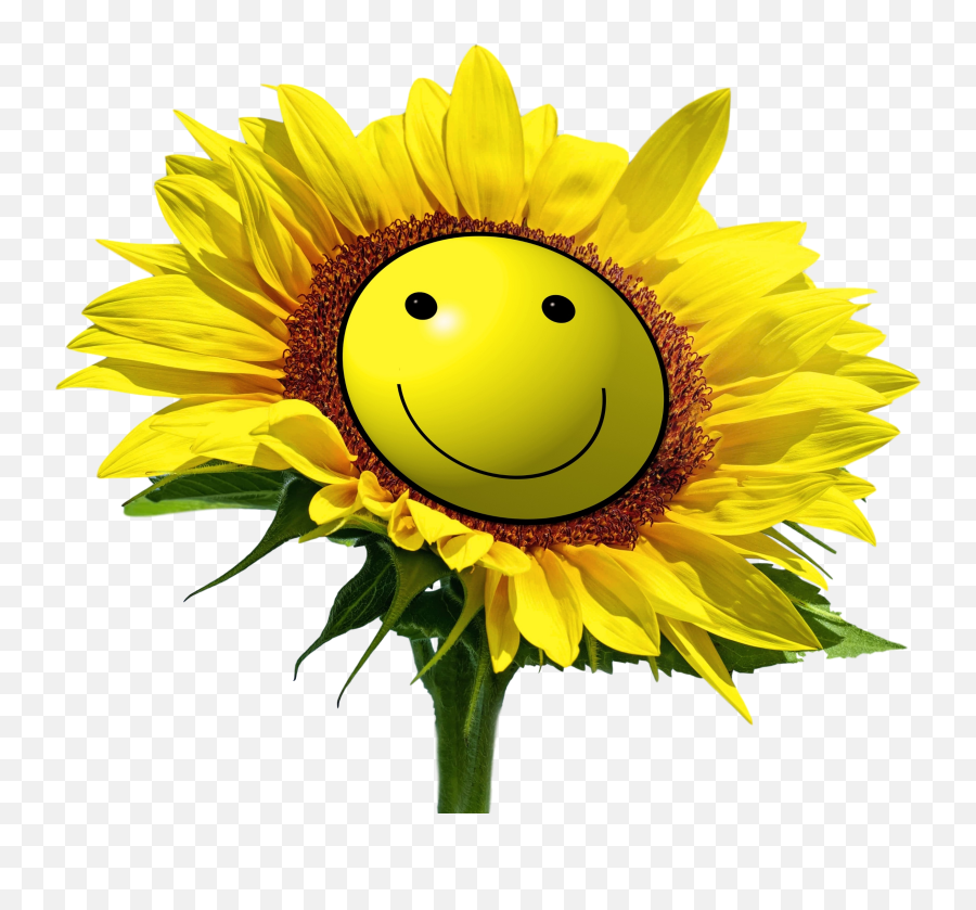 Sunshine - Happy Emoji,Sunshine Emoticon