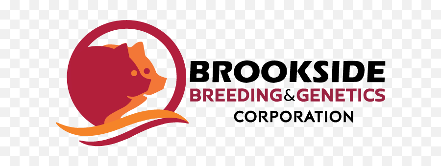 The Official Brookside Group Of Companies Website - Bursa Büyükehir Belediyesi Emoji,Palestine Emoji