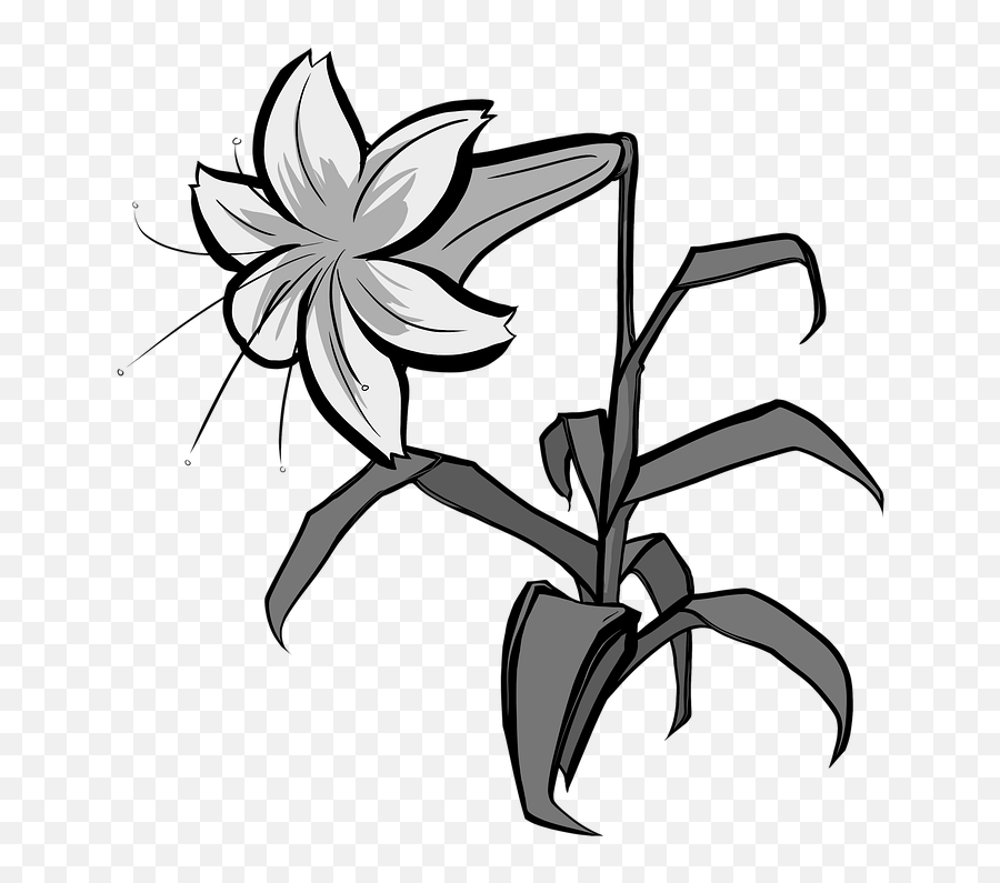 Grayscale Lily Easter - Tiger Lily Emoji,Easter Basket Emoji