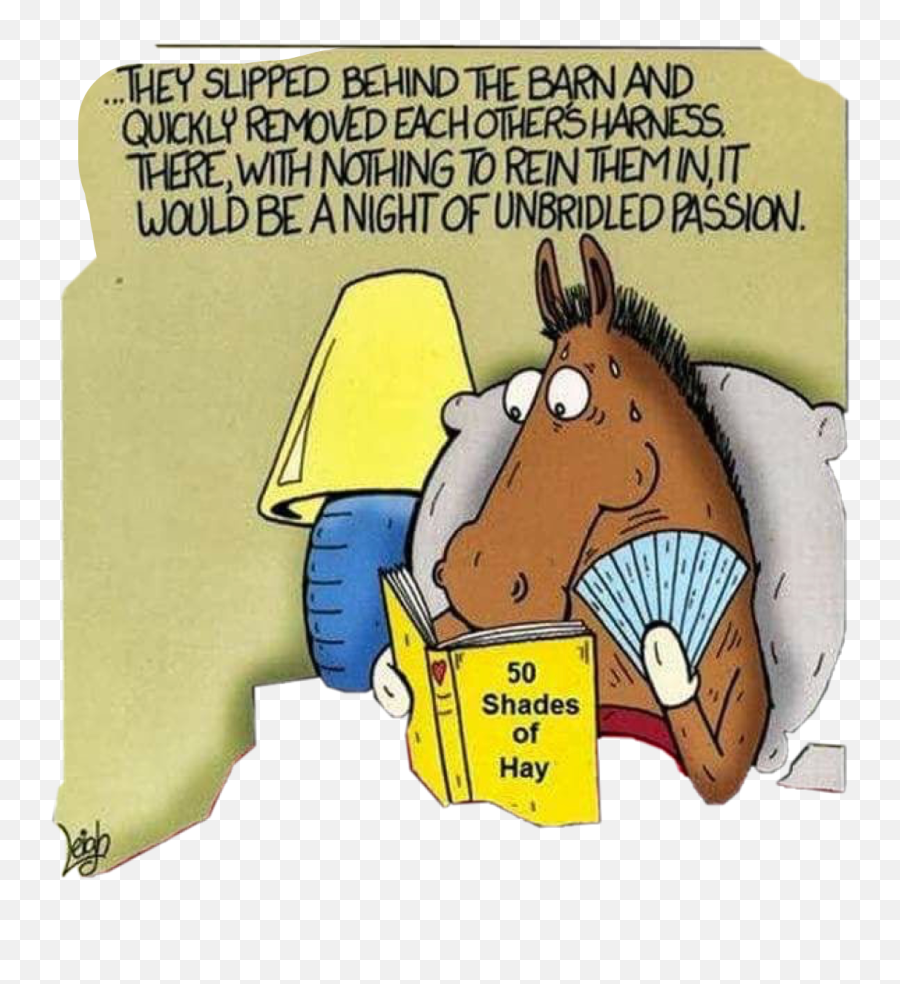 Comic Horse Sexy Hay Pillow Read Funny - Funny When The Away The Mice Will Play Emoji,Horse Emoji Pillow