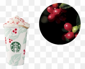 Here Are The Stories Behind Starbucks - Starbucks New Logo 2011 Emoji,Starbucks Emoticon