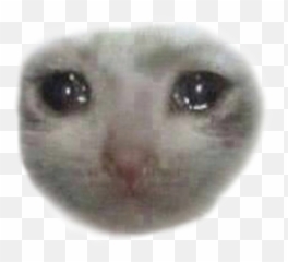 Sad Crying Cat Face Clipart - Ojos De Gato Llorosos Emoji,Crying Cat Emoji