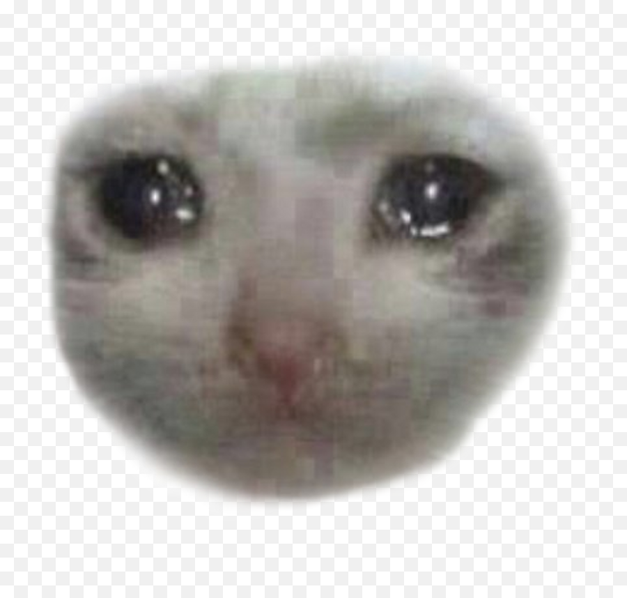 Sad Crying Cat Face Clipart - Ojos De Gato Llorosos Emoji,Crying Cat Emoji