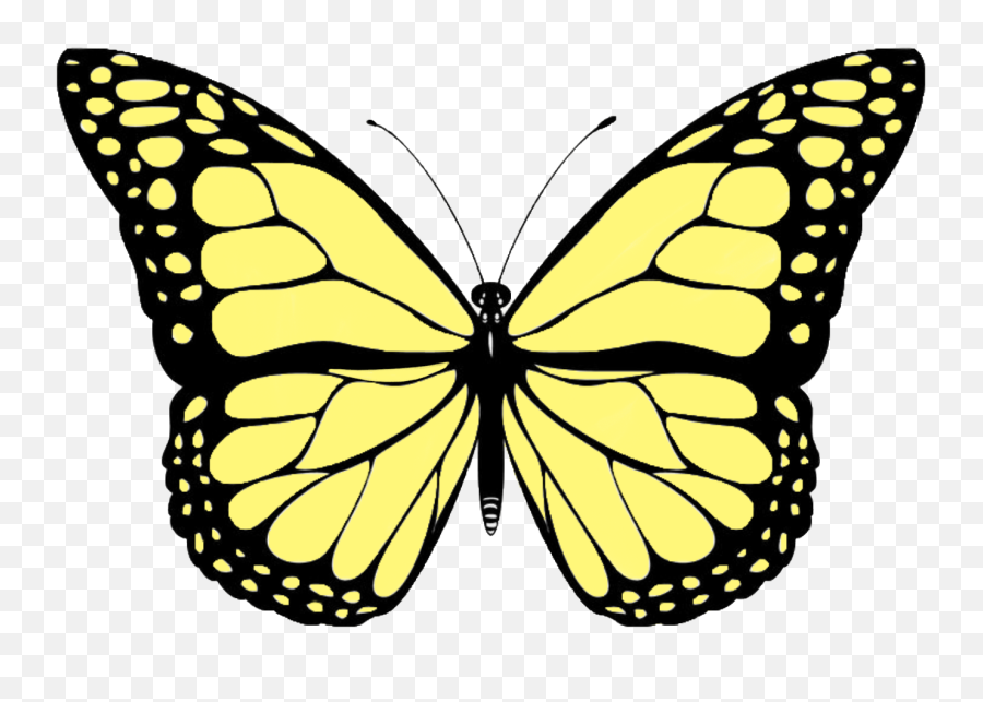 Butterfly Sticker Sticker - Butterfly Template Emoji,Moth Emoji