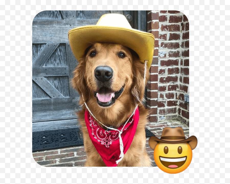 World Emoji Day - Golden Retriever,Dog Treat Emoji