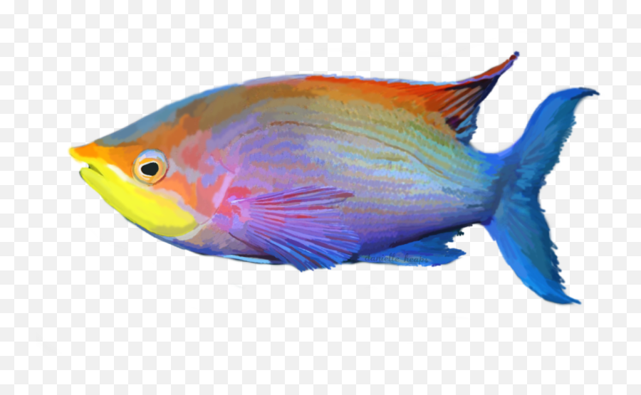 Tropical Fish Png Picture - Tropical Fish Png Emoji,Tropical Fish Emoji