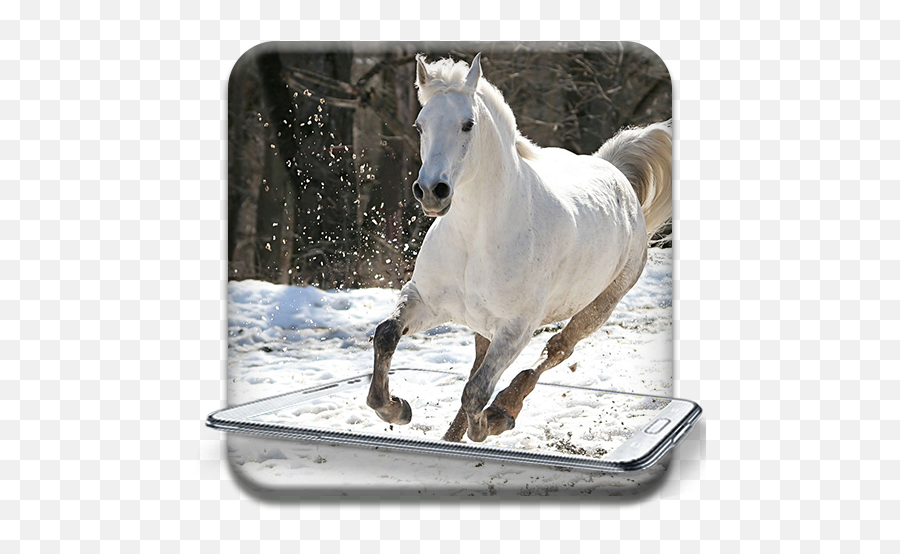 Live Wallpaper - Horse Pictures No Copyright Emoji,Horse Emoji Keyboard