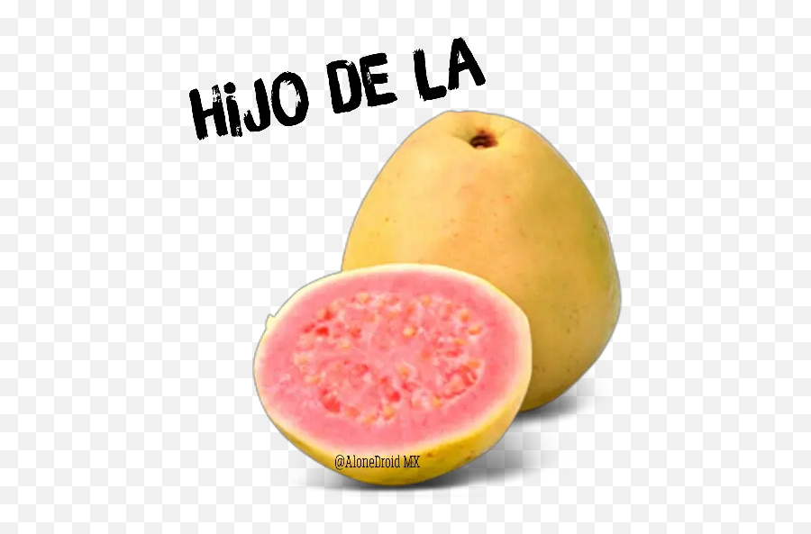 Frutas Y Verduras Stickers For Whatsapp - Common Guava Emoji,Papaya Emoji