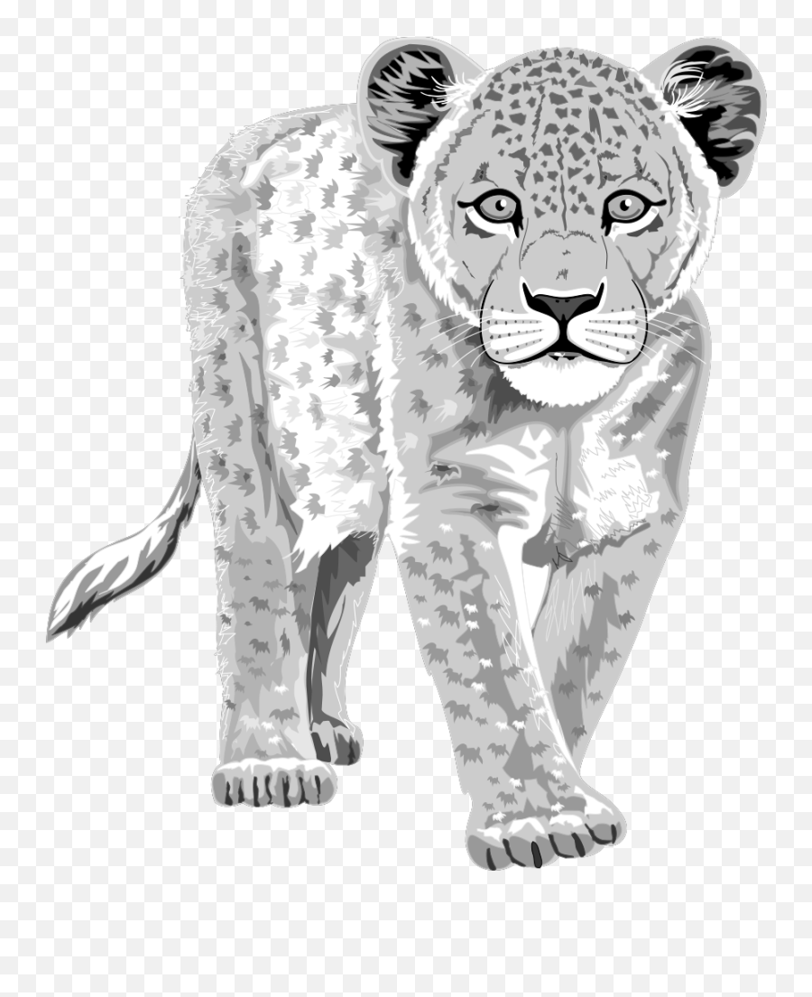 Leopard Png Svg Clip Art For Web - Download Clip Art Png Lion Cub Clip Art Emoji,Leopard Emoji