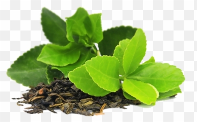Green Tea Transparent Image - Green Tea Leaf Png Emoji,Green Tea Emoji