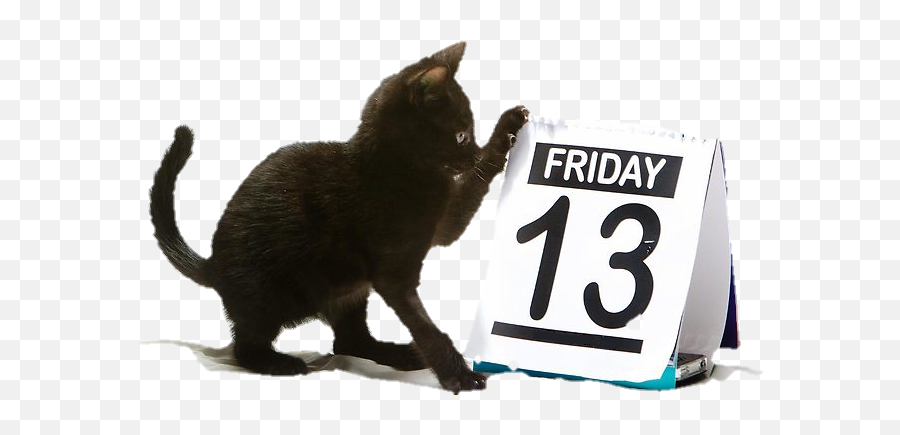 Cat Blackcat Friday13th Friday Black - Superstition Friday The 13th Emoji,Friday The 13th Emoji