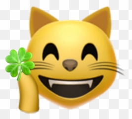 Emoji Emojicat Emojiface Emojiiphone - Emojis De Ladybug Y Cat Noir