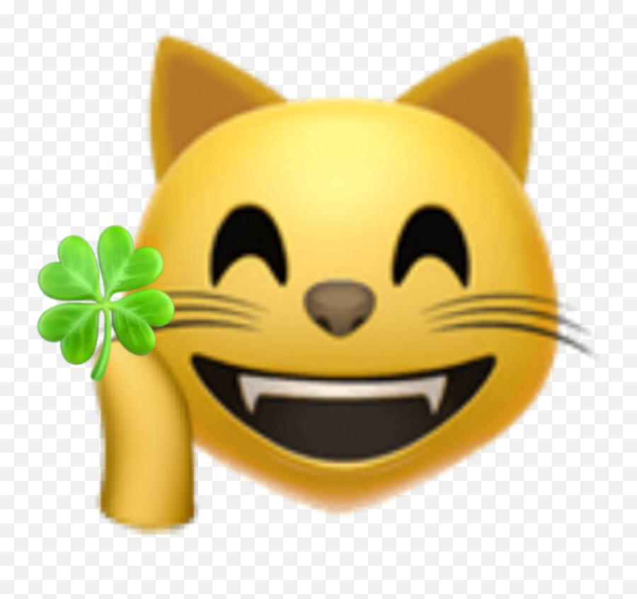 Emoji Emojicat Emojiface Emojiiphone - Emojis De Ladybug Y Cat Noir,Lucky Emoji