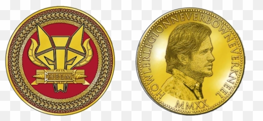 Howler Legion Helm Challenge Coin - Solid Emoji,Coins Emoji