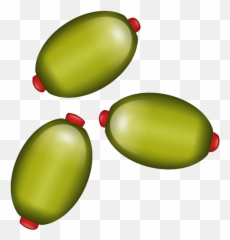 Emoji - Mango,Mango Emoji