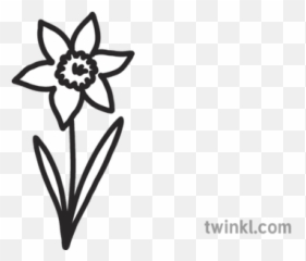 Spring Daffodil Flower All About Me Emoji Worksheet English - Blank Black And White