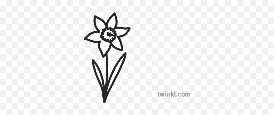 Spring Daffodil Flower All About Me Emoji Worksheet English - Blank Flower Black And White,Spring Emoji