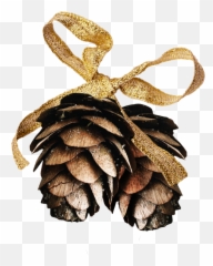 Pinecone Pinecones Gold Festive Winter - Conifer Cone Emoji,Pinecone Emoji
