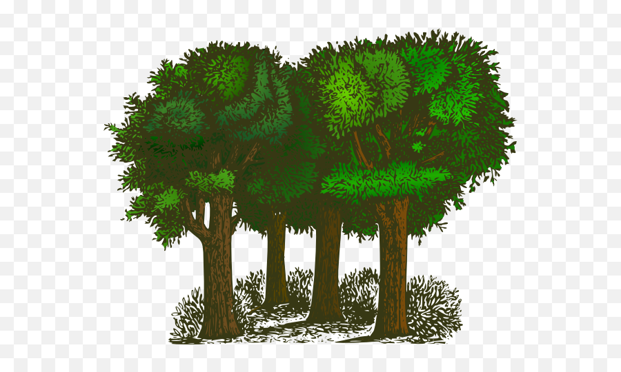 Trees Jungle Clipart Clipart Kid - Trees Clipart Emoji,Jungle Emoji