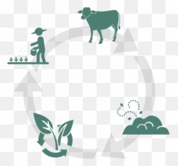 Download Cycle - Dairy Cow HD Png uokplrs Illustration Emoji