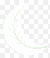 Crescent Moon Emoji Png - Moon,Crescent Moon Emoji Png