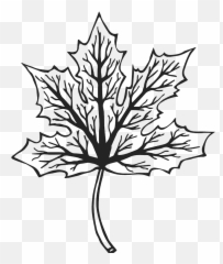 Maple Leaf Rubber Stamp - Emoji