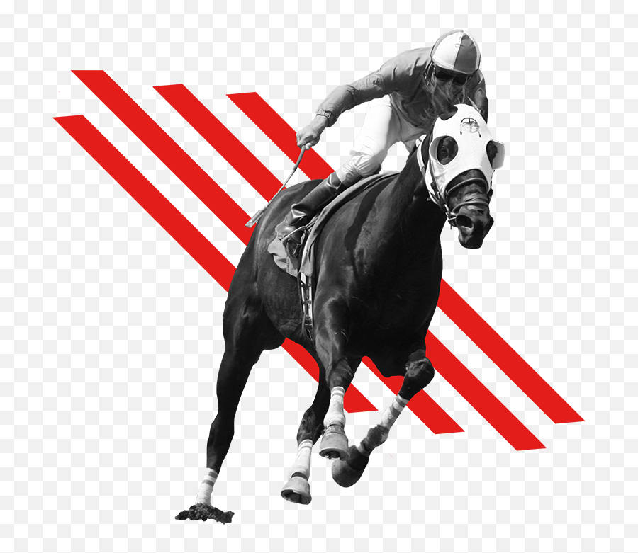 Home - Horse Racing Logo Png Emoji,Flag Horse Dance Music Emoji