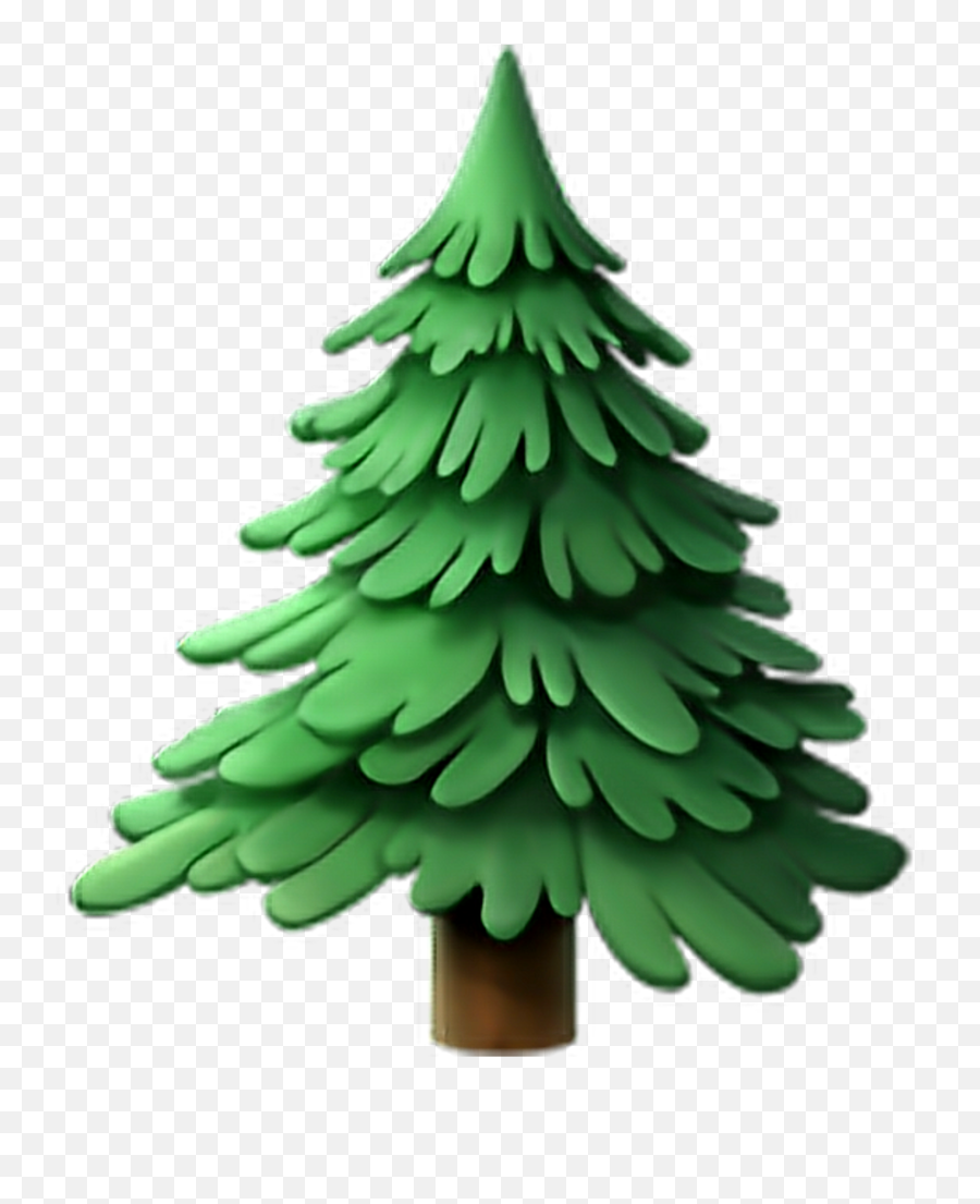 Download Transparent Pine Tree Emoji Png Image With No - Winter Things,Pine Tree Emoji