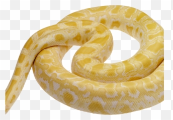 Download Hd Python Clipart Snake Tongue - Light Yellow And White Emoji