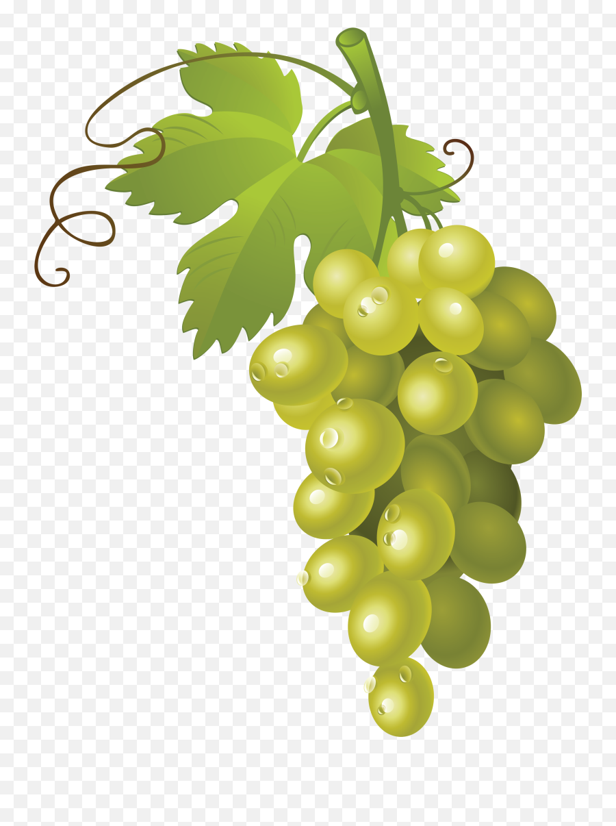 Green Grapes Png Image Images - Transparent Background Grapes Clipart Emoji,Grape Emoji