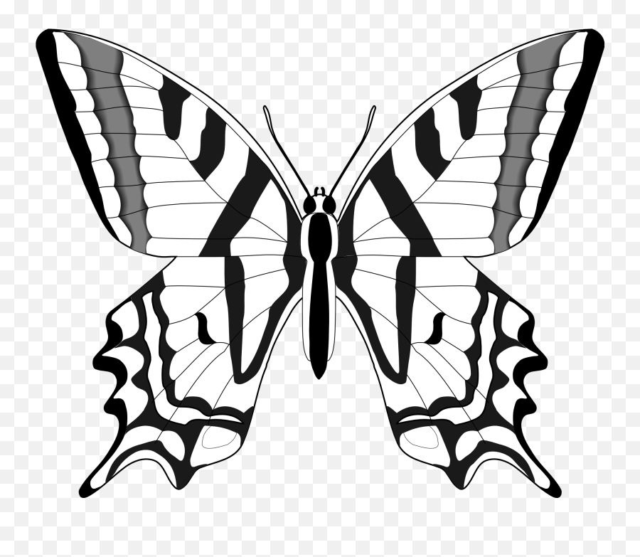 Nursery Drawing Butterfly Transparent U0026 Png Clipart Free - Black And White Butterfly Clip Art Emoji,Butterfly Emoji Png