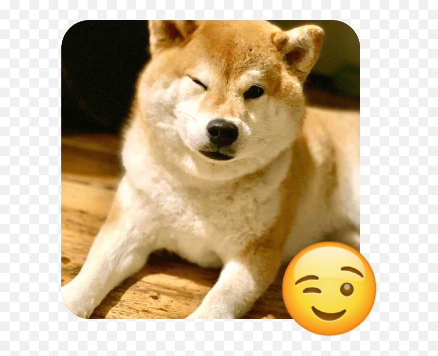 World Emoji Day - Akita Inu,Dog Treat Emoji