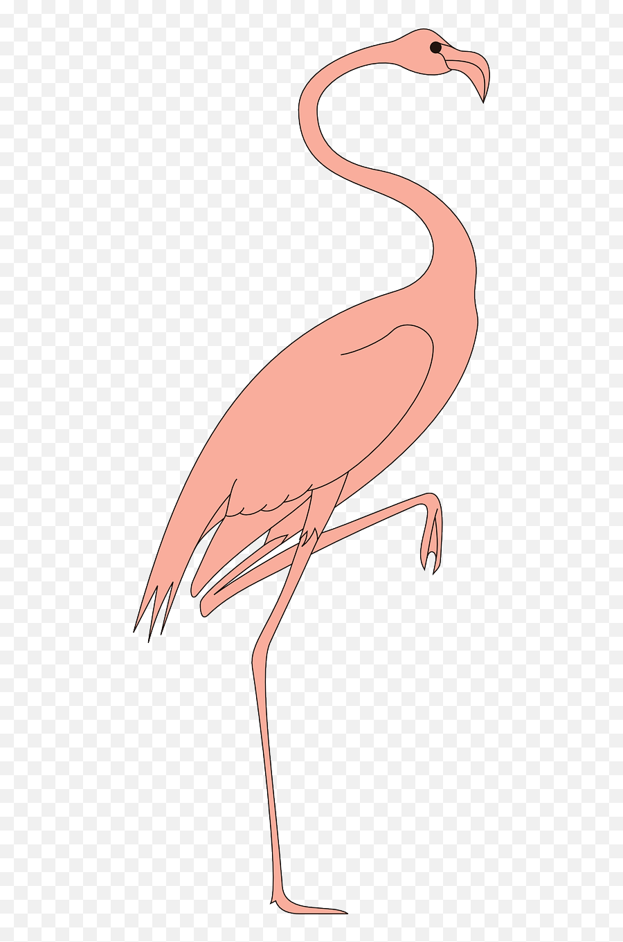 Bird Leg Raised Flamingo Wings - Birds Emoji,Chicken Wing Emoji
