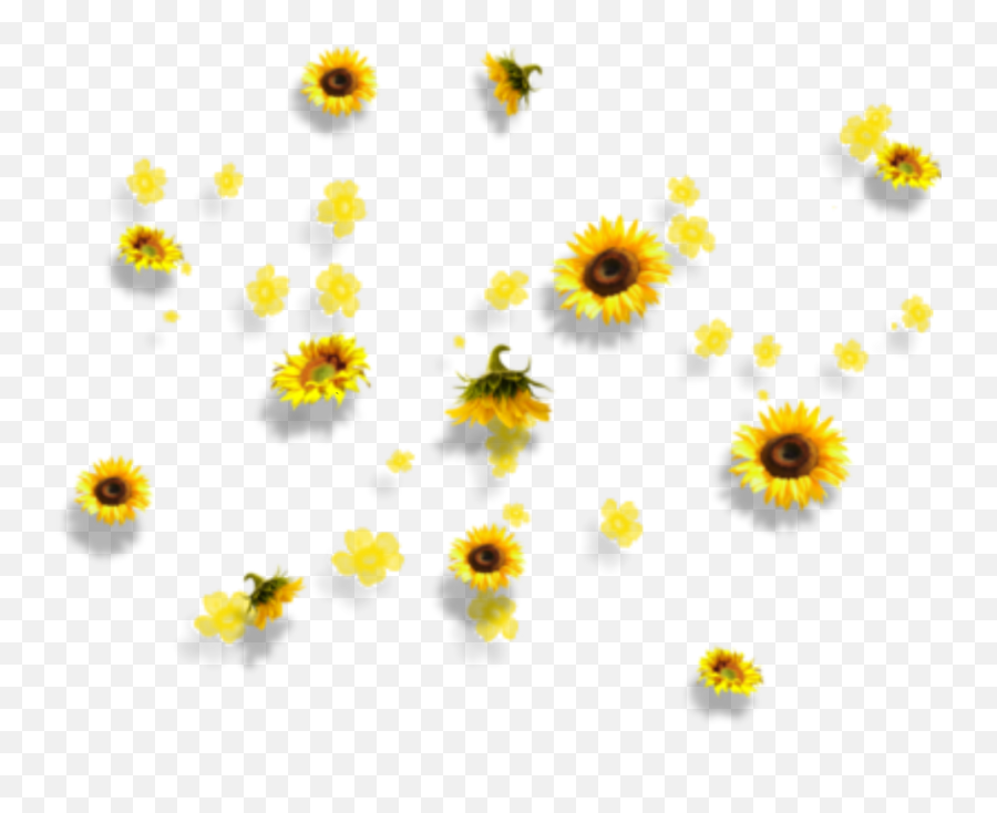 Yellow Flowers Aesthetic Tumblr Falling - Transparent Background Png Aesthetic Emoji,Yellow Flower Emoji