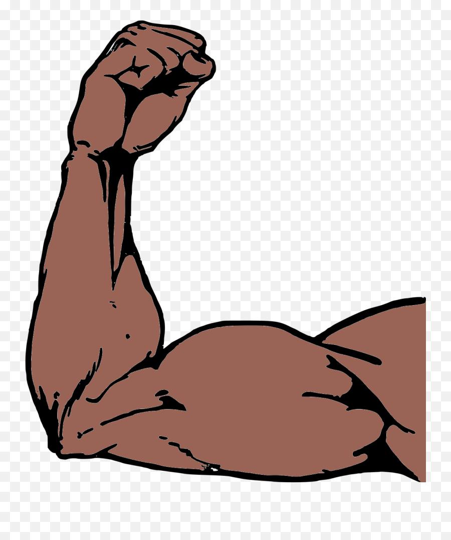 Muscle Clipart Arm Strength Muscle Arm - Muscles Arms Png Emoji,Arm Shrug Emoji