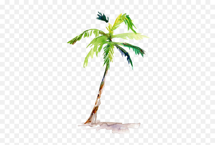 Png For Free Download On Mbtskoudsalg - Palm Tree Watercolor Easy Palm Tree Watercolor Emoji,Palm Tree Emoji Png