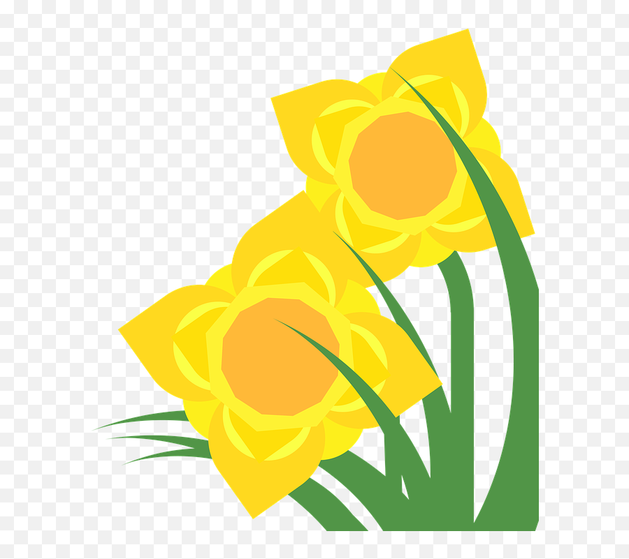 Daffodil Clipart Golden Daffodil - Jonquilles Clipart Emoji,Leek Emoji